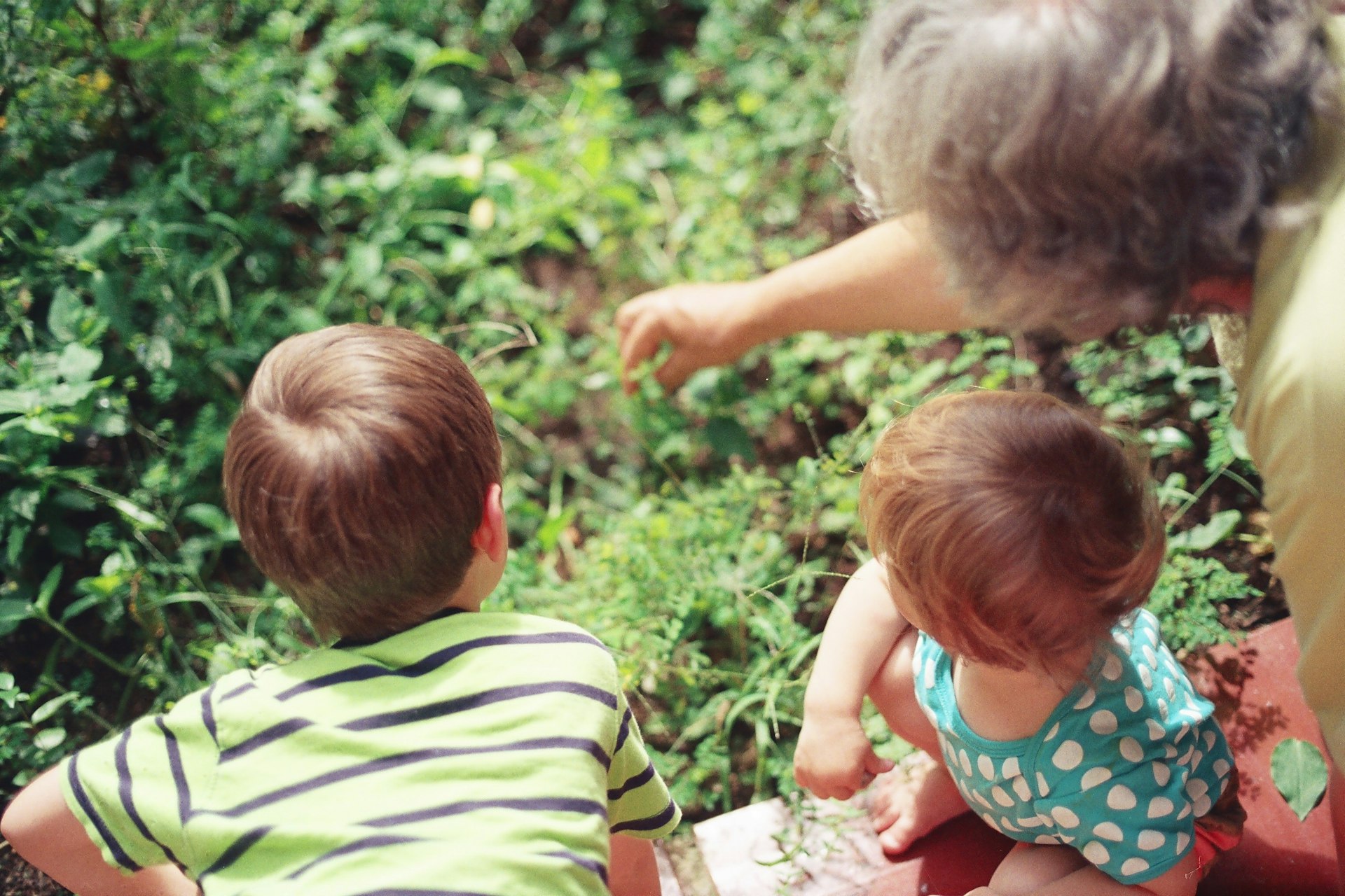Unlocking the Power of Intergenerational Learning: Building Stronger Family Connections and Lifelong Skills