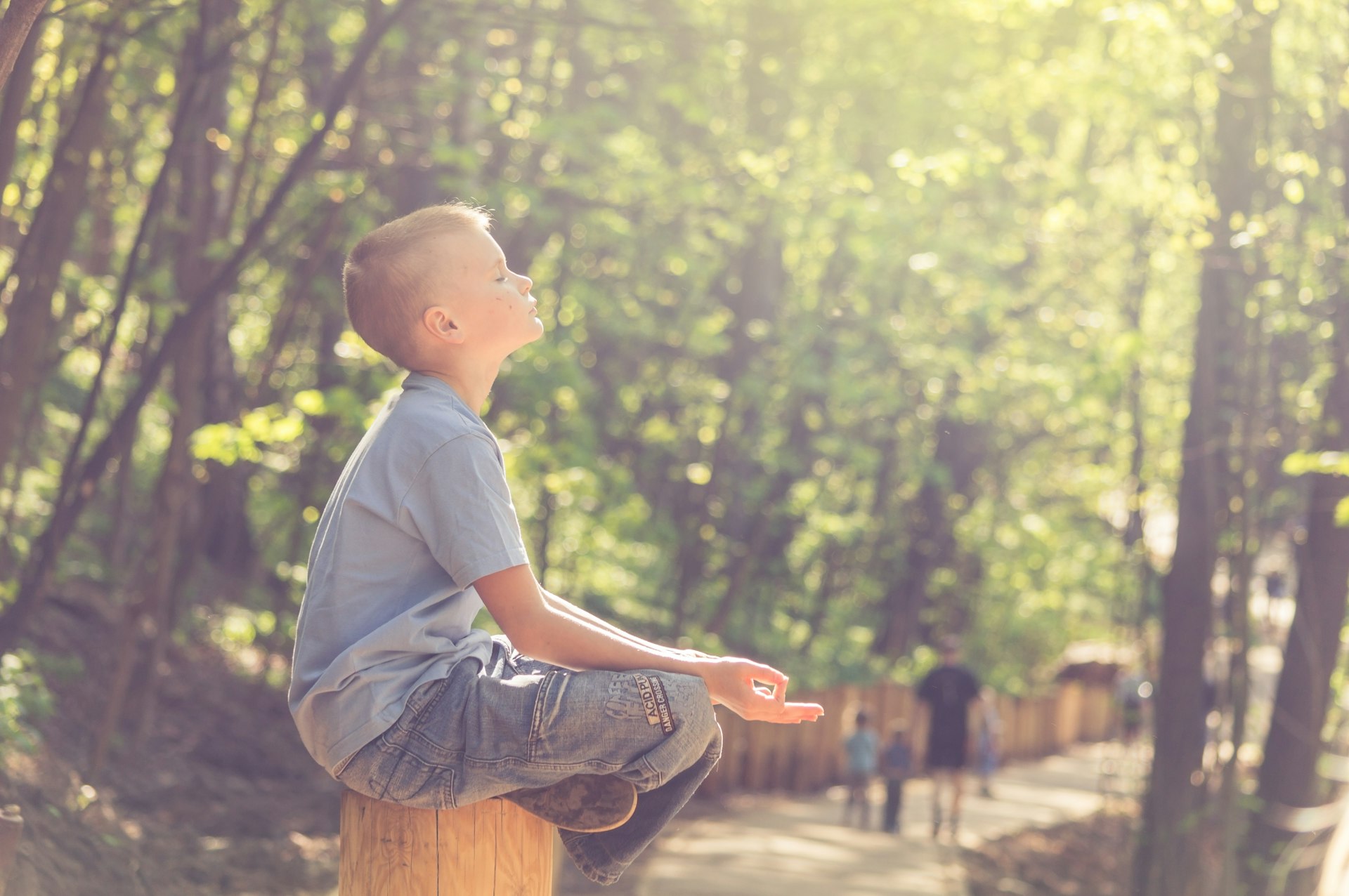 Transform Your Family Life: Practical Meditation and Mindfulness Routines for Every Home