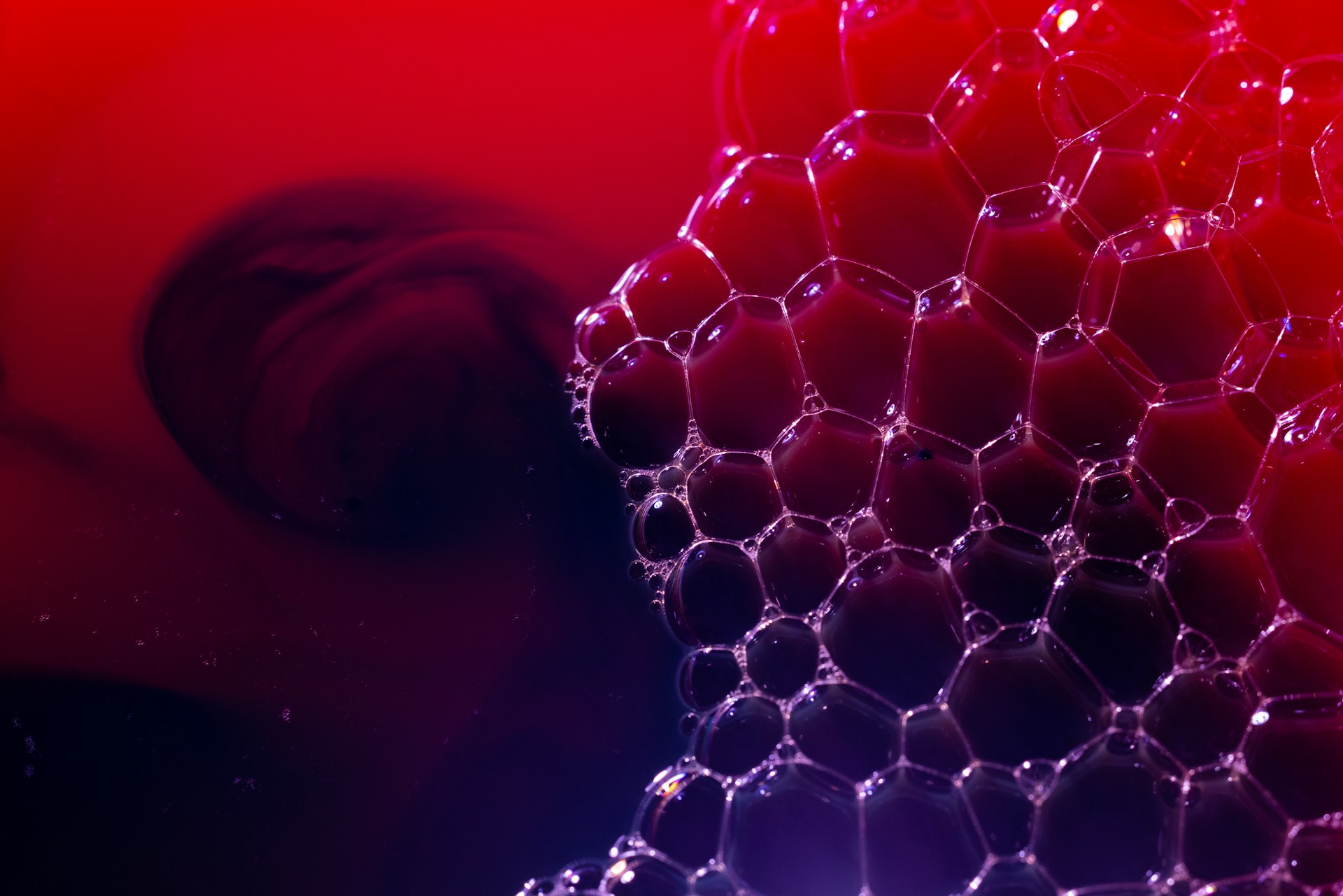 Transforming Patient Care: The Future of Nanotechnology in Healthcare